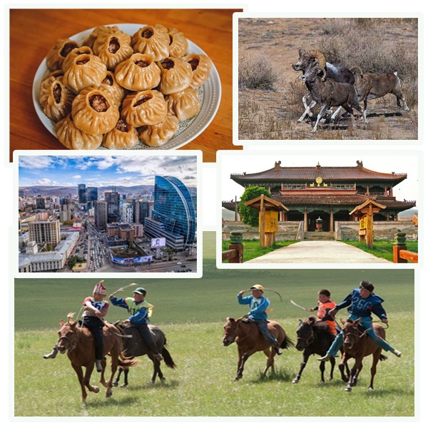 India Mongolia Business and Cultural Council - About Mongolia